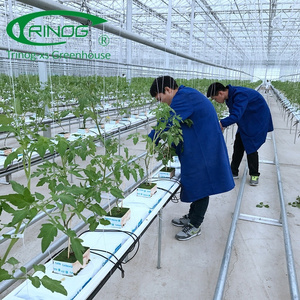 Trinog Greenhouse 4mm tempered glass portable greenhouse used for sale