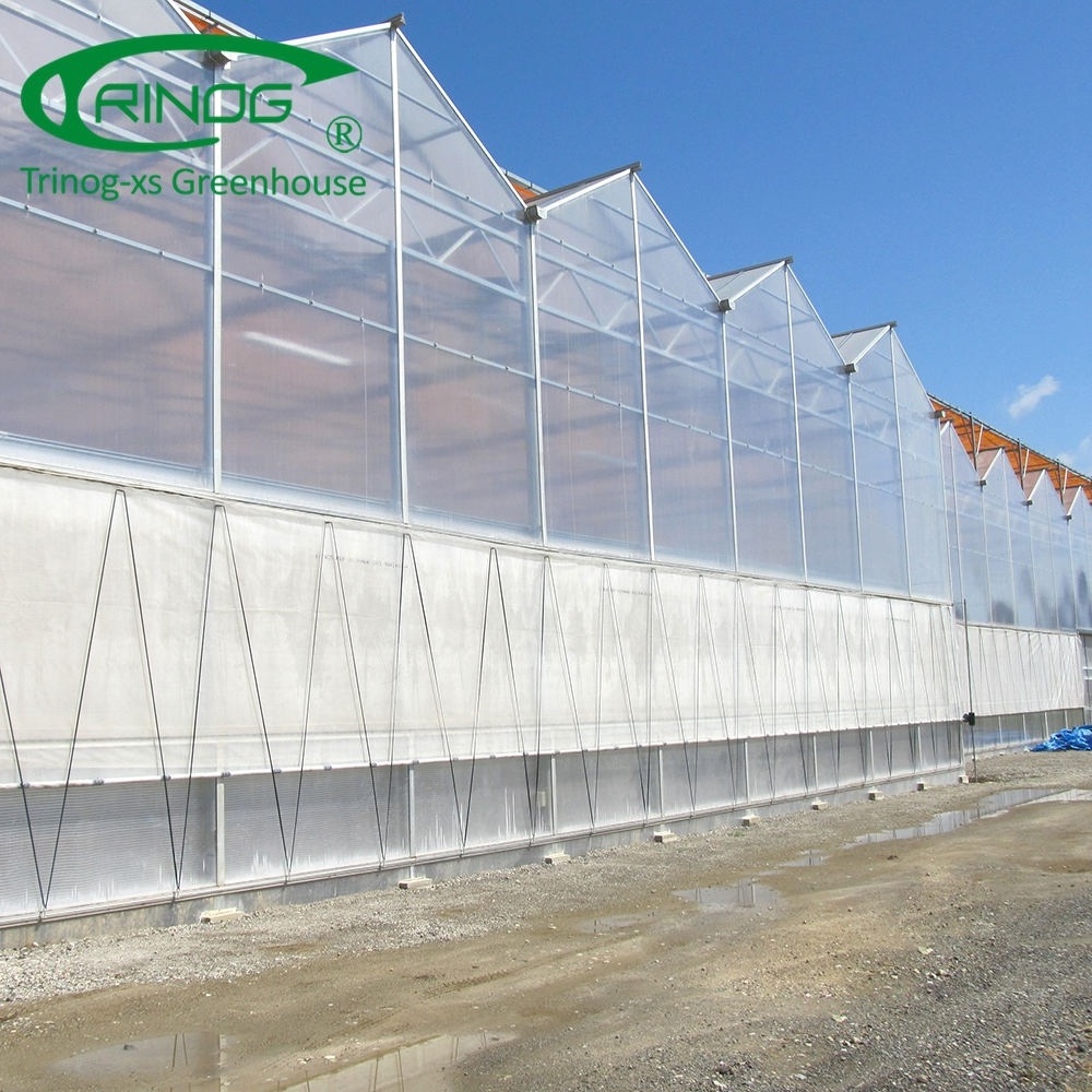 High roof Commercial used pc sheet polycarbonate greenhouse for sale