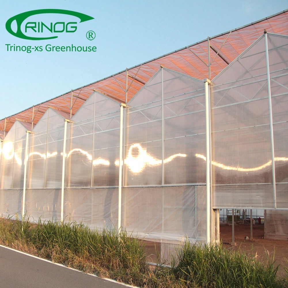 High roof Commercial used pc sheet polycarbonate greenhouse for sale