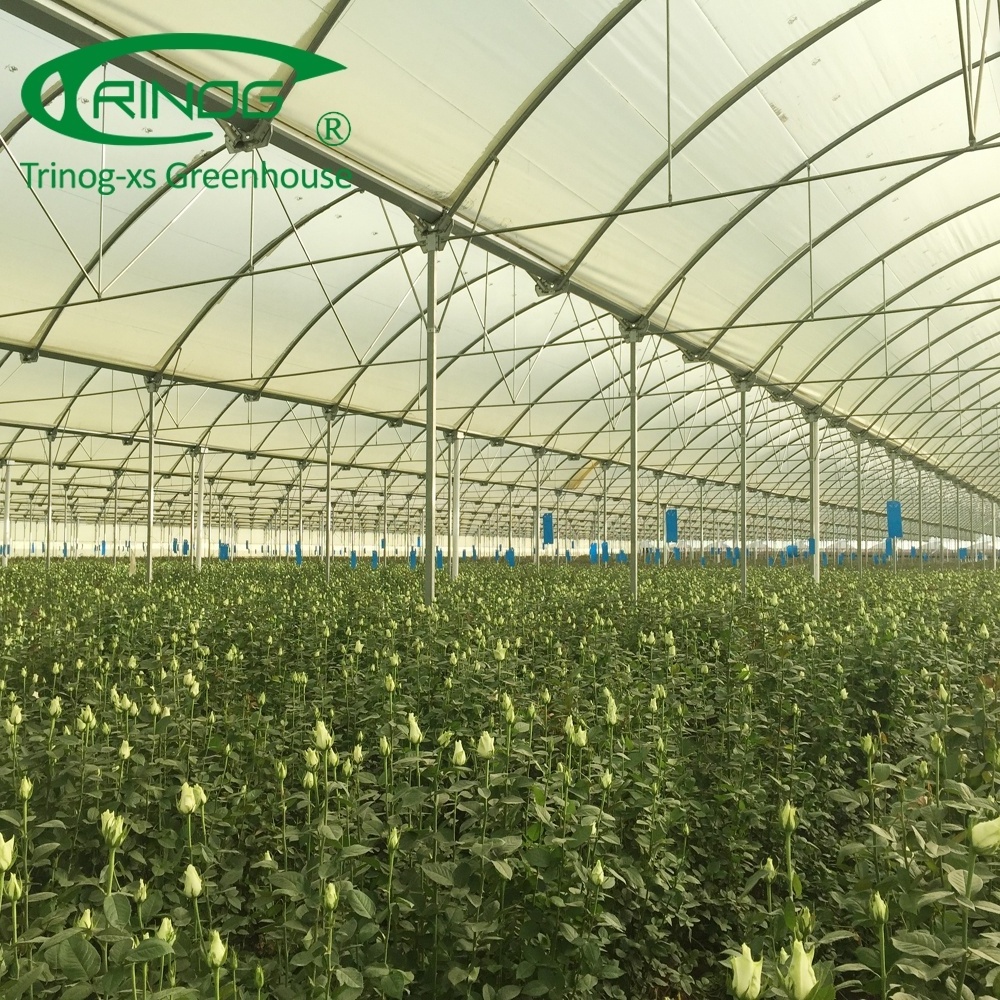 Plastic film used greenhouse frame for sale