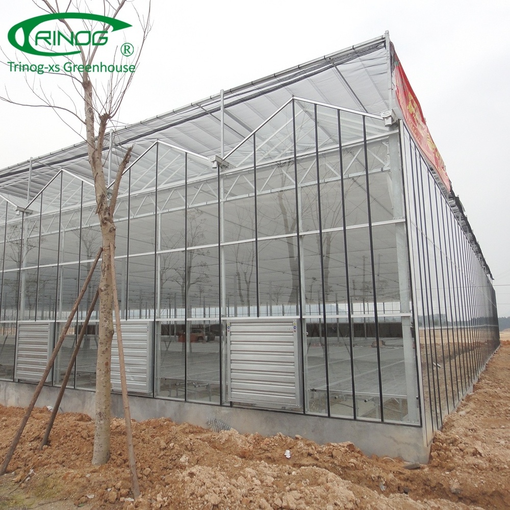 Trinog Greenhouse 4mm tempered glass portable greenhouse used for sale