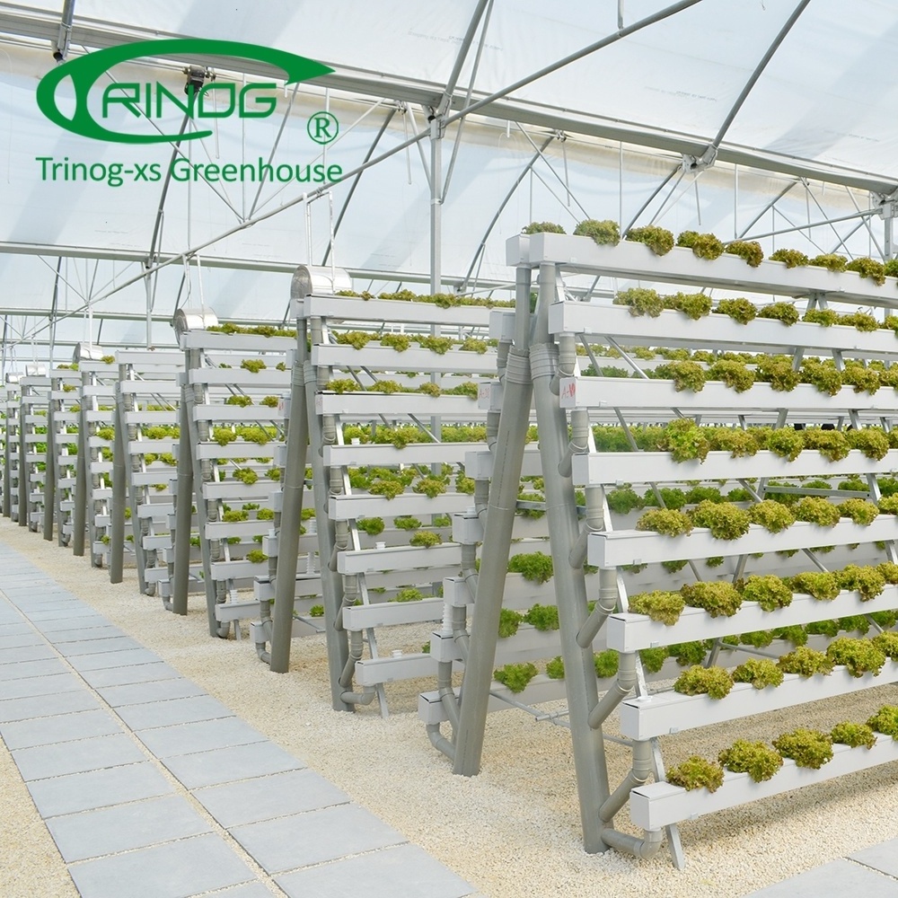 Trinog sale lettuce Aeroponic tower hydroponics system for sale