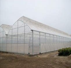 Plastic film used greenhouse frame for sale