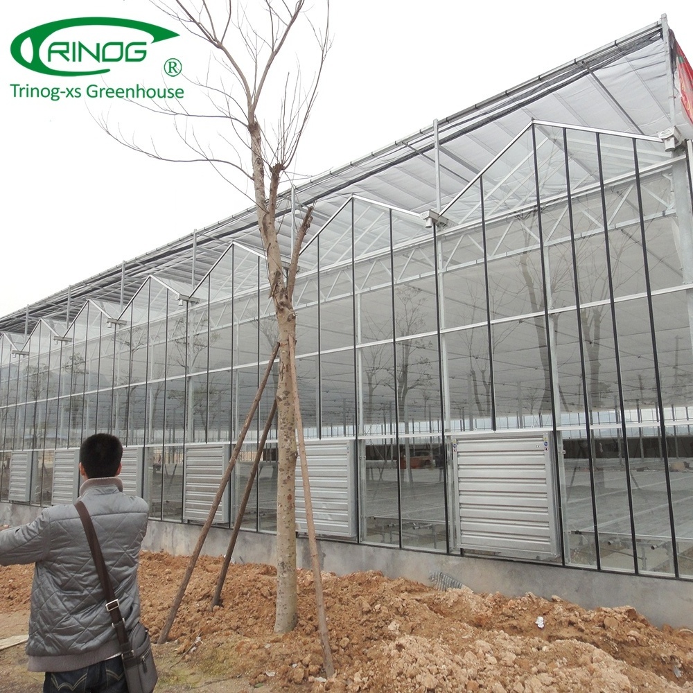 Trinog Greenhouse 4mm tempered glass portable greenhouse used for sale