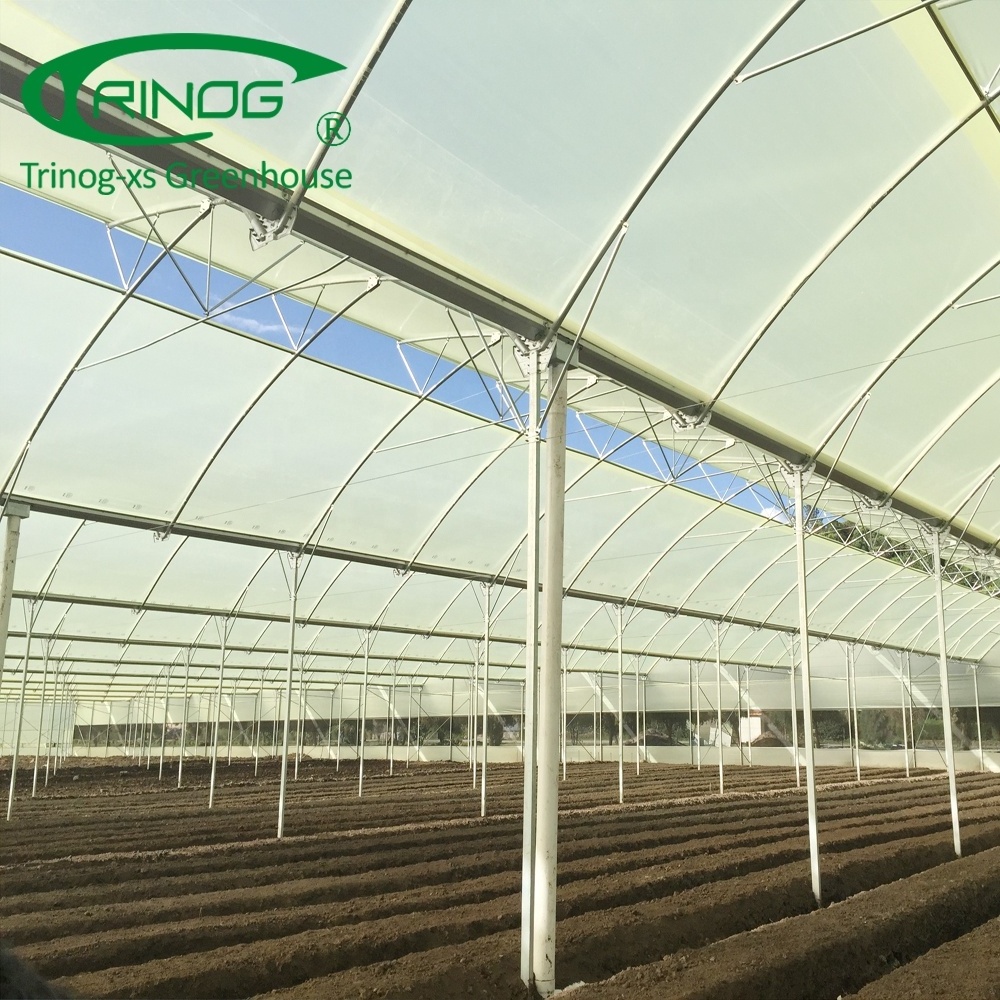 Plastic film used greenhouse frame for sale