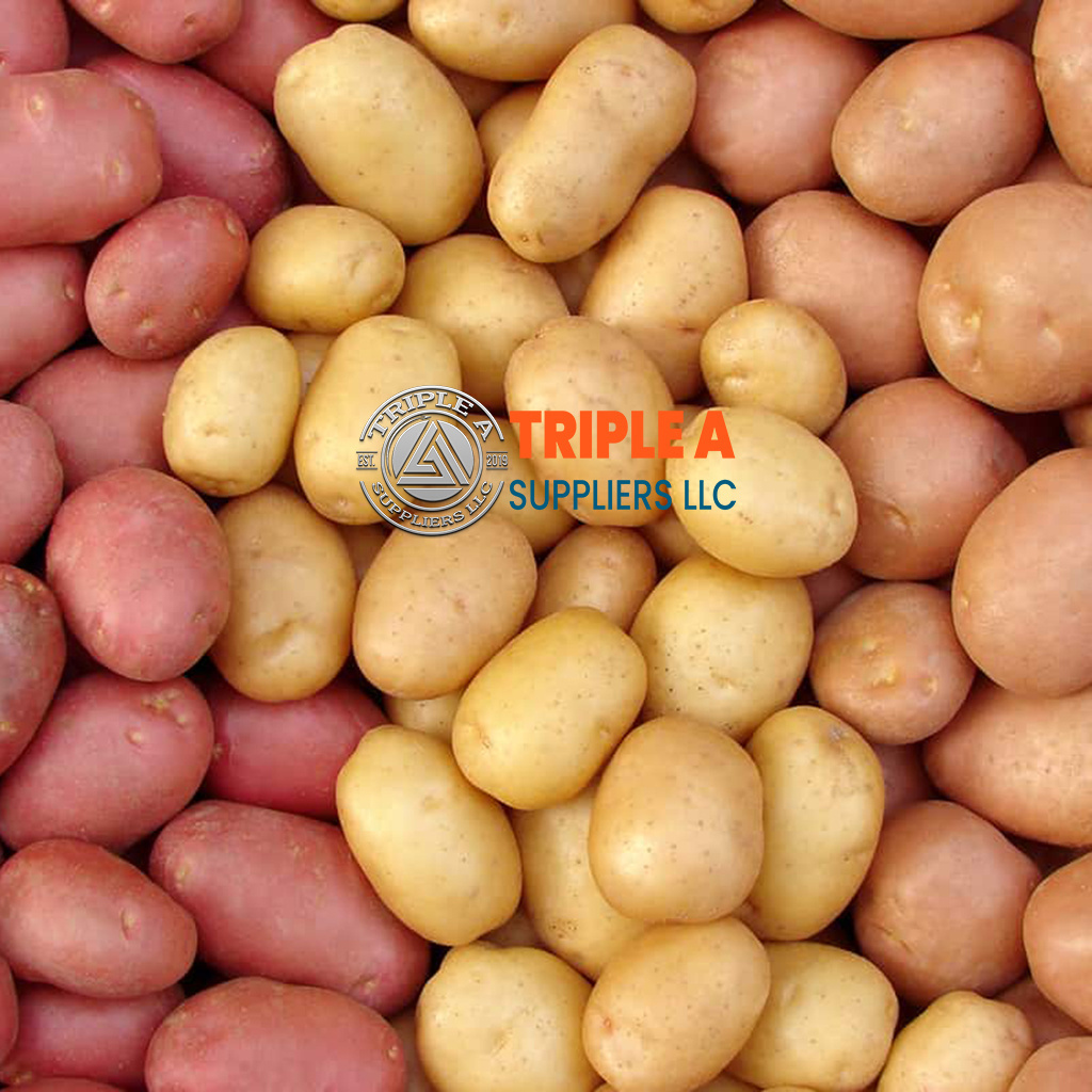 OEM High Quality Export Oriented Fresh Potatoes Fresh Poato Fresh Potaoto Year fresh potato export