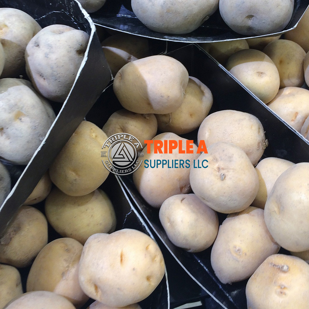 OEM High Quality Export Oriented Fresh Potatoes Fresh Poato Fresh Potaoto Year fresh potato export