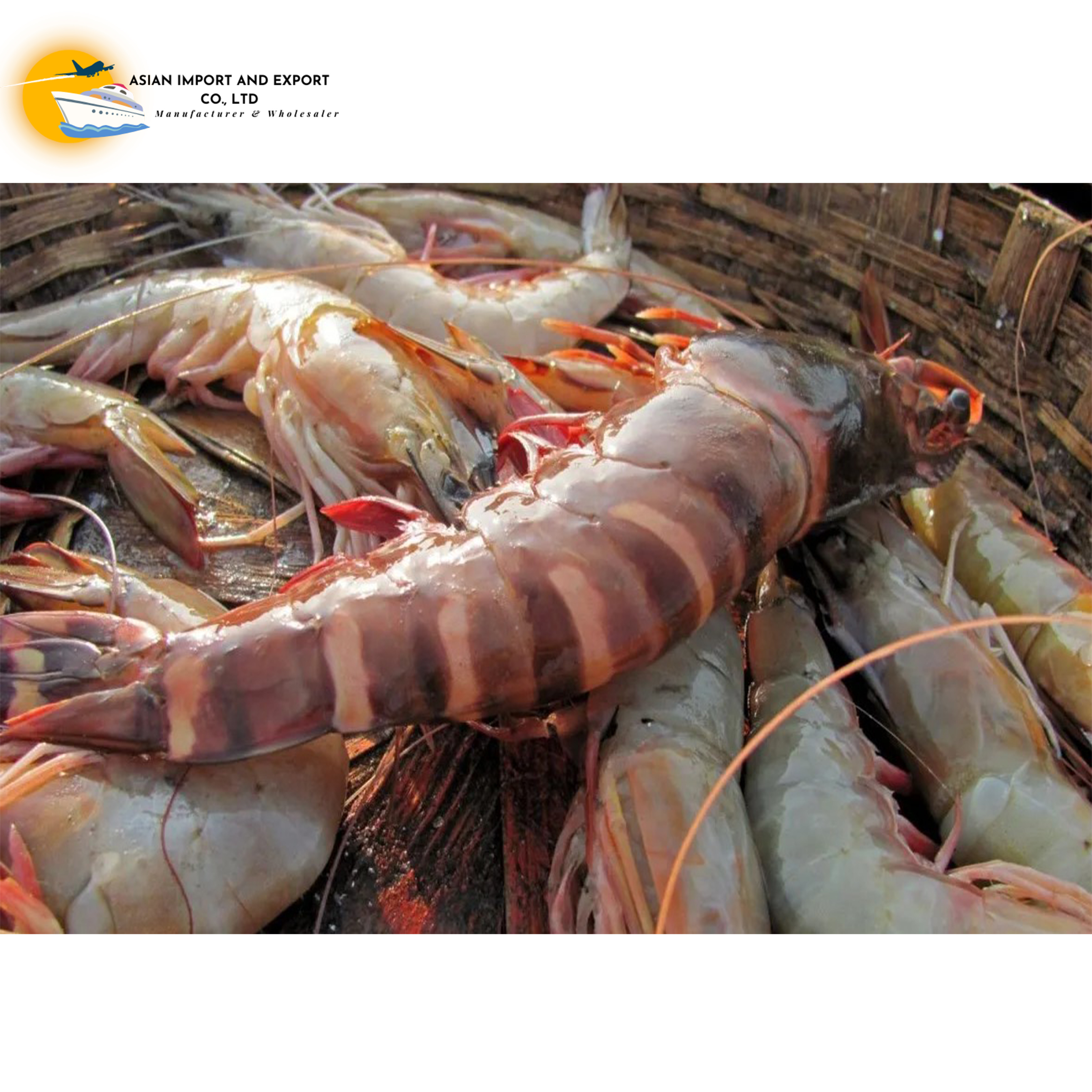 Frozen Lobster / Frozen Lobster Tail / Fresh Live high quality seafood frozen  shrimp from bangladeshi supplier