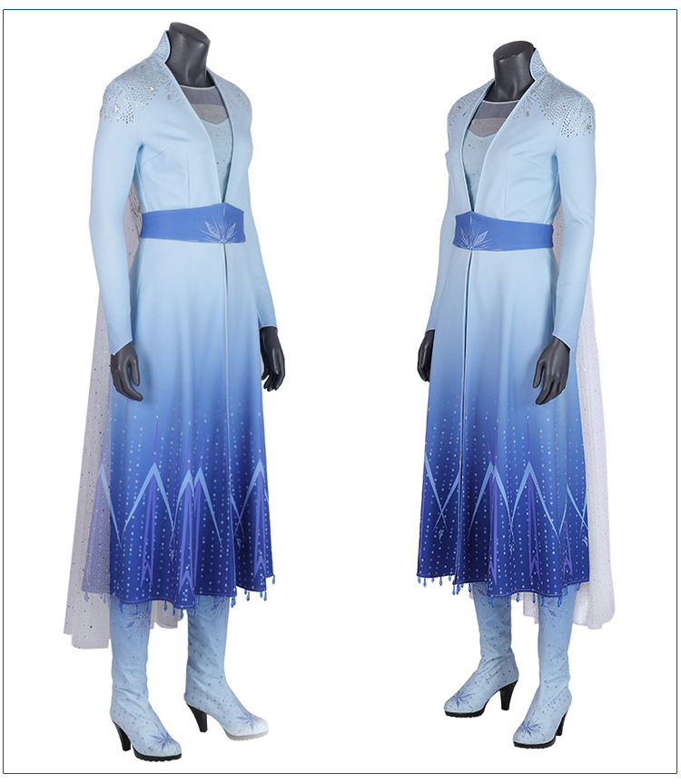 Latest High quality Adult Long Sleeve Frozn 2 Elsa Princess Dress Halloween Elsa Cosplay Costume