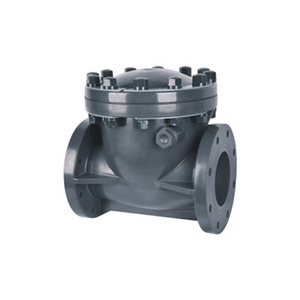 dn40 dn80 dn100 dn150 dn200 Industrial Upvc Pvc Swing Type Check Valve