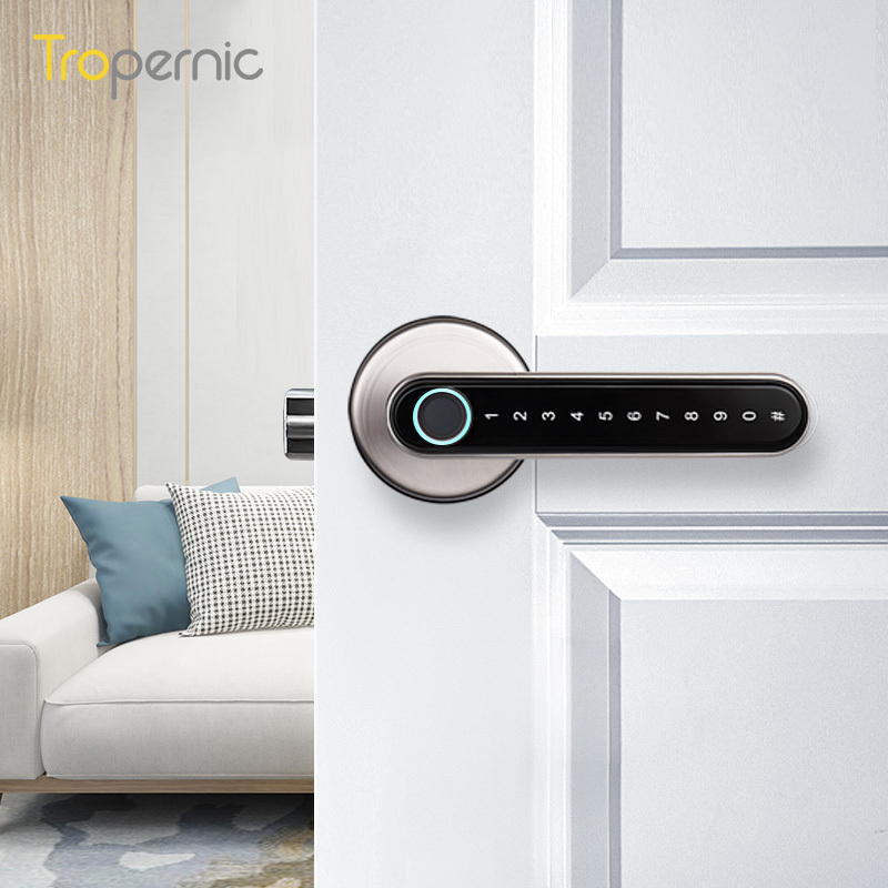 WiFi Keyless Entry Lever Keypad Password Fechadura Digital Tuya ttlock App Biometric Fingerprint Smart Door Handle