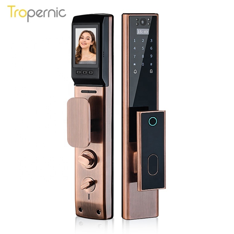 Advanced Keyless Entry Fully Automatic Biometric Fingerprint Exterior Smart Door Lock With Camera