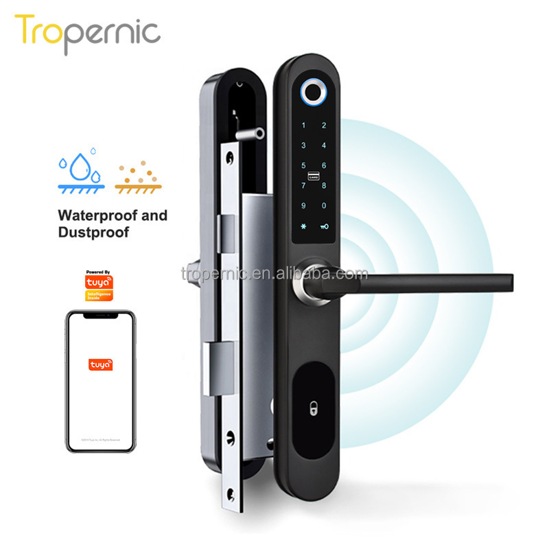 Waterproof Intelligent Biometric Smart Home Locks Wifi Deadbolt Outdoor Gate Sliding Hook Smart Aluminum Door Lock