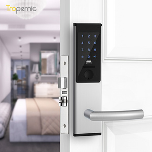 Smart Security Narrow European Ttlock App Handle Lock Guangdong Hyh Hardware Electronic Door Lock