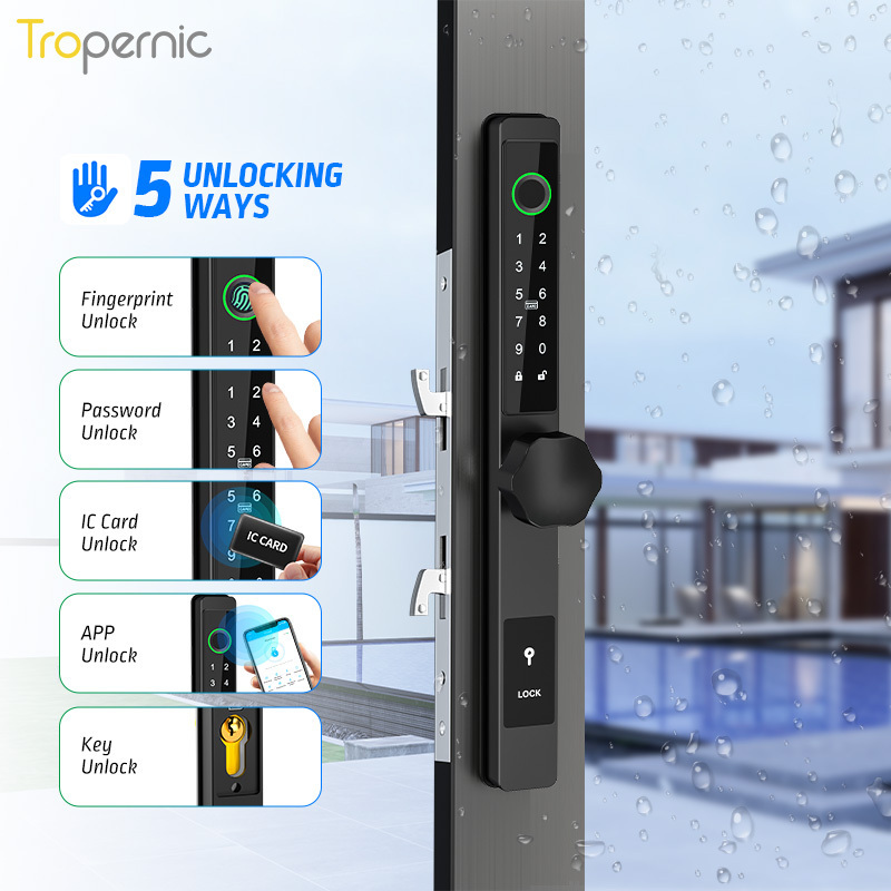 Waterproof Digital Biometric Handle Fingerprint Glass Door Ttlock APP Aluminum Sliding Smart door lock