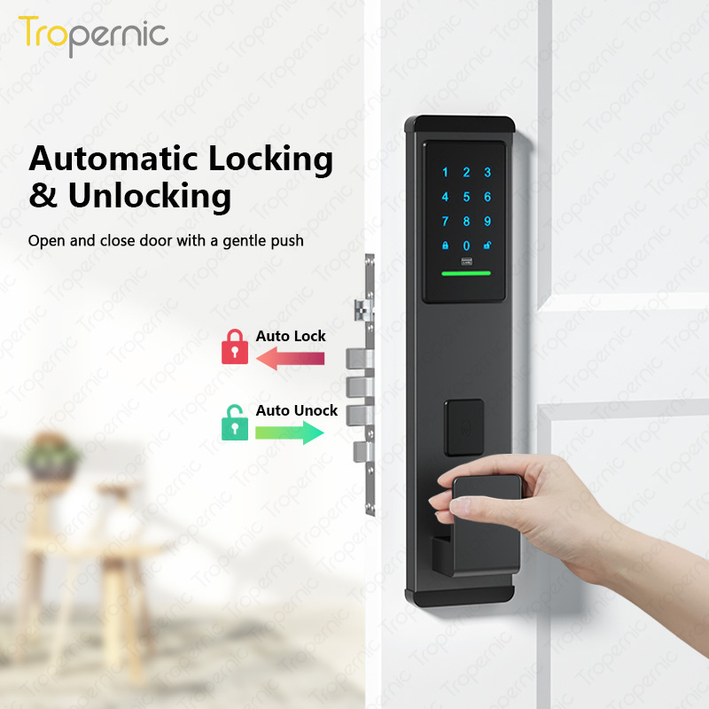 Tropernic Security APP Remotely Door Lock Electronic Smart IC Card Temporary Password Ttlock Smart Lock