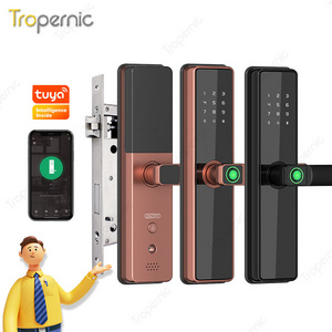 Tropernic OEM Cheap Tuya Wifi Intelligent Electronic Fingerprint Smart Door Lock With APP