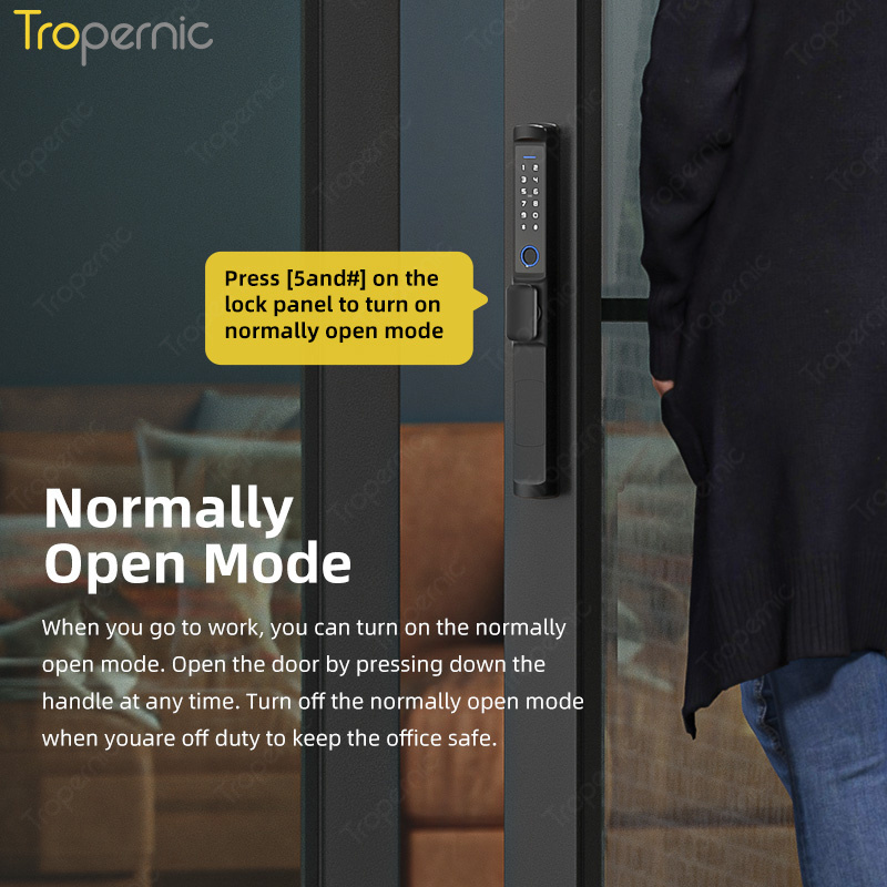 Tropernic IP65 Waterproof Extremely Narrow Sliding Door Aluminum Alloy Smart Sliding Door Pull Handle Lock