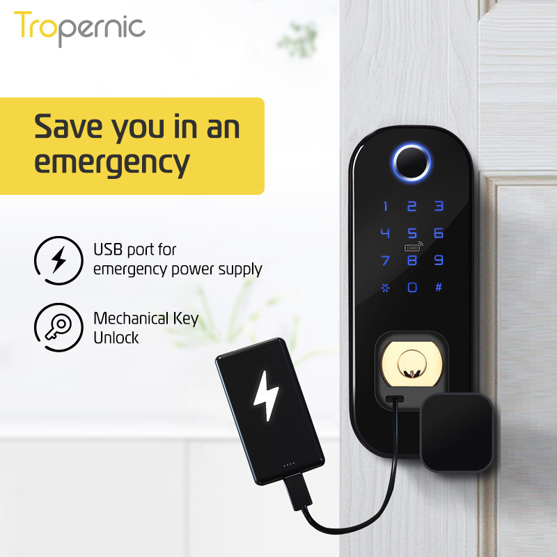 Tropernic Home Security Waterproof Electric Rim Lock Double Sided Fingerprint Door Lock