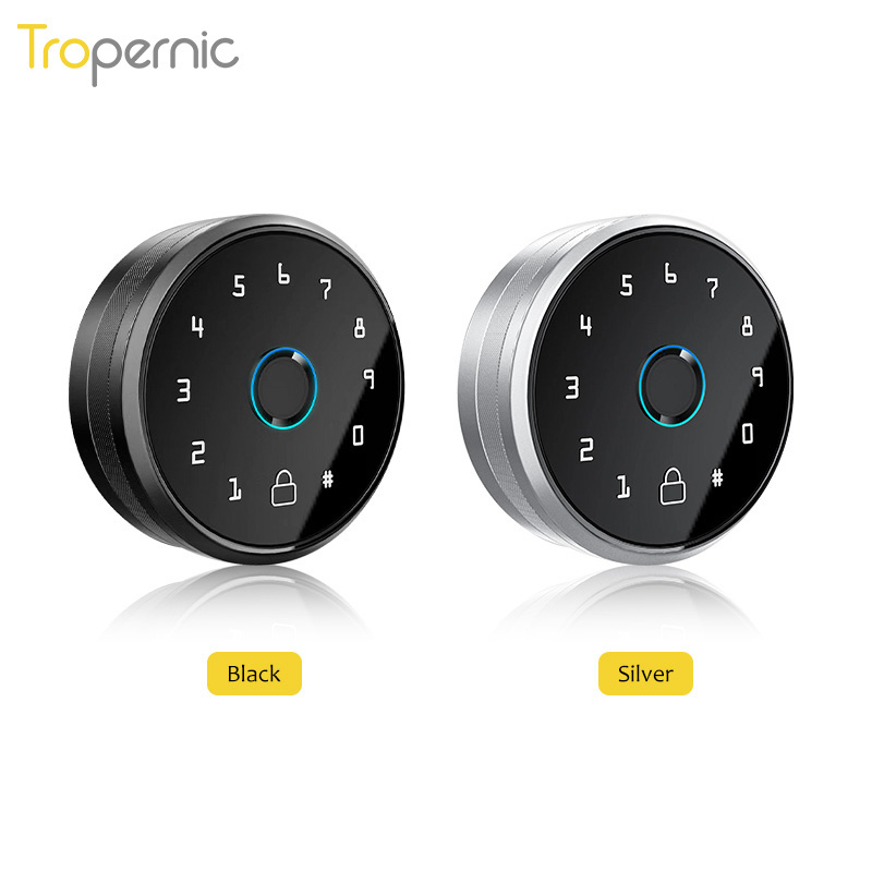 Tropernic Wholesale Touchscreen Keypad App Control Auto Lock Passcode Electronic Door Lock