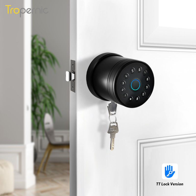 Tropernic Keyless Wifi Biometric Home Security System Ferreteria Fingerprint Ttlock Smart Lock