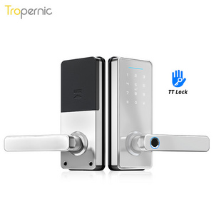 Factory Price Outdoor Electric Lock App Fingerprint Gate Lock Keypad Card Door Lock