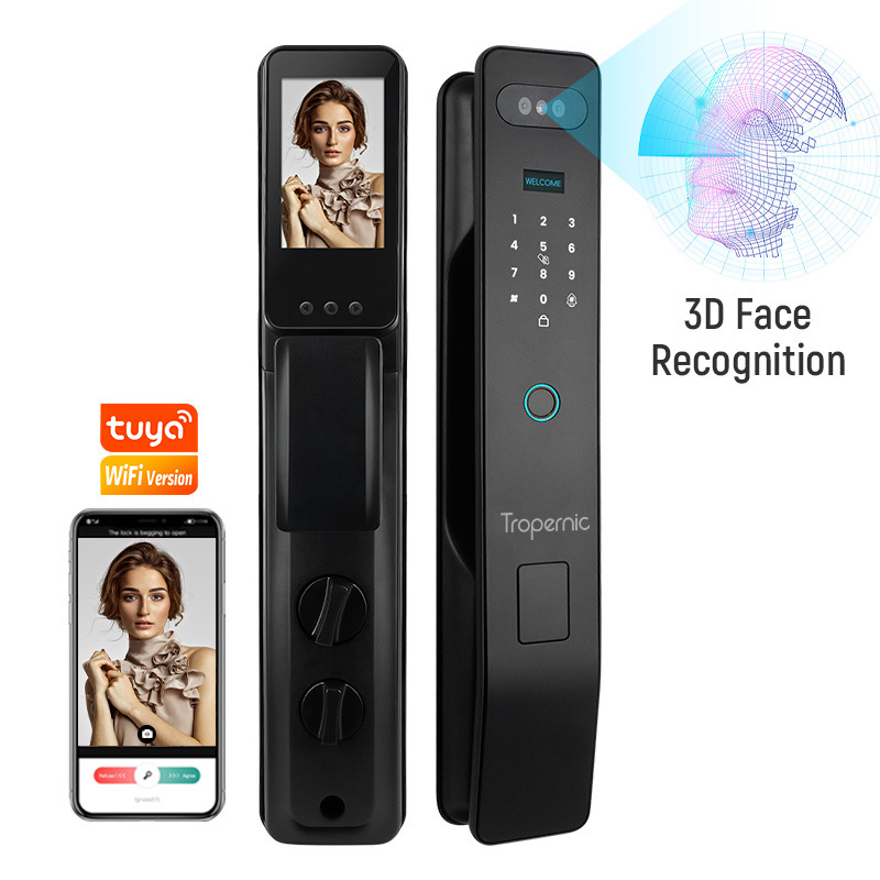 Anti-theft Luxury Villa Password 3D Face Main Smart Wood Door Lock Smart Outside Wifi Tuya With Display