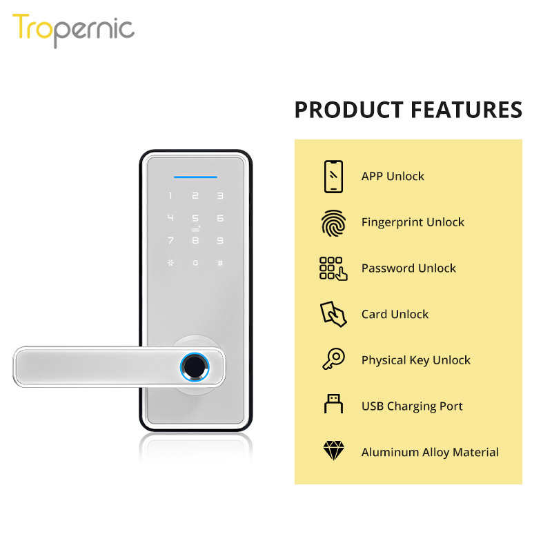 Factory Price Outdoor Electric Lock App Fingerprint Gate Lock Keypad Card Door Lock