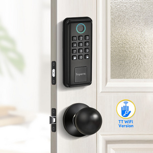 Low Moq Keypad Smart Digital home Deadbolt Door Lock Electronic Fingerprint With Security Key Wifi No Gateway