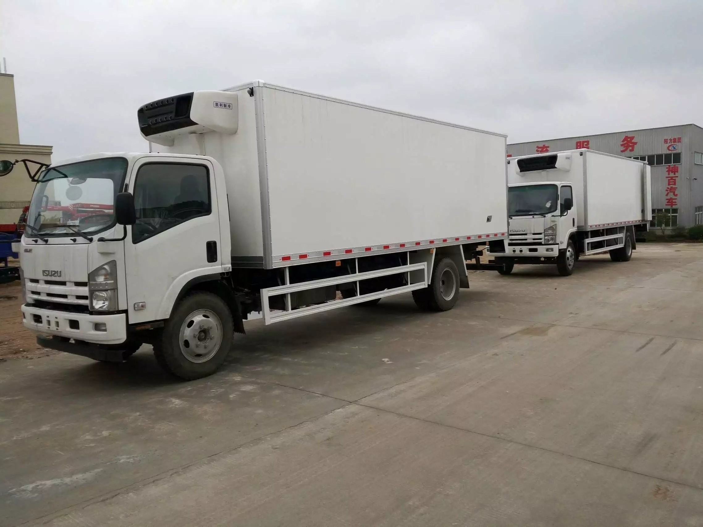 ISUZU  Food Meat Transportation Cooling Van truck