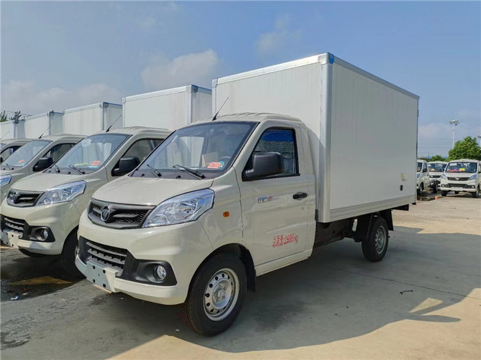 1 ton 1.5ton new left hand drive FOTON mini cargo truck for sale