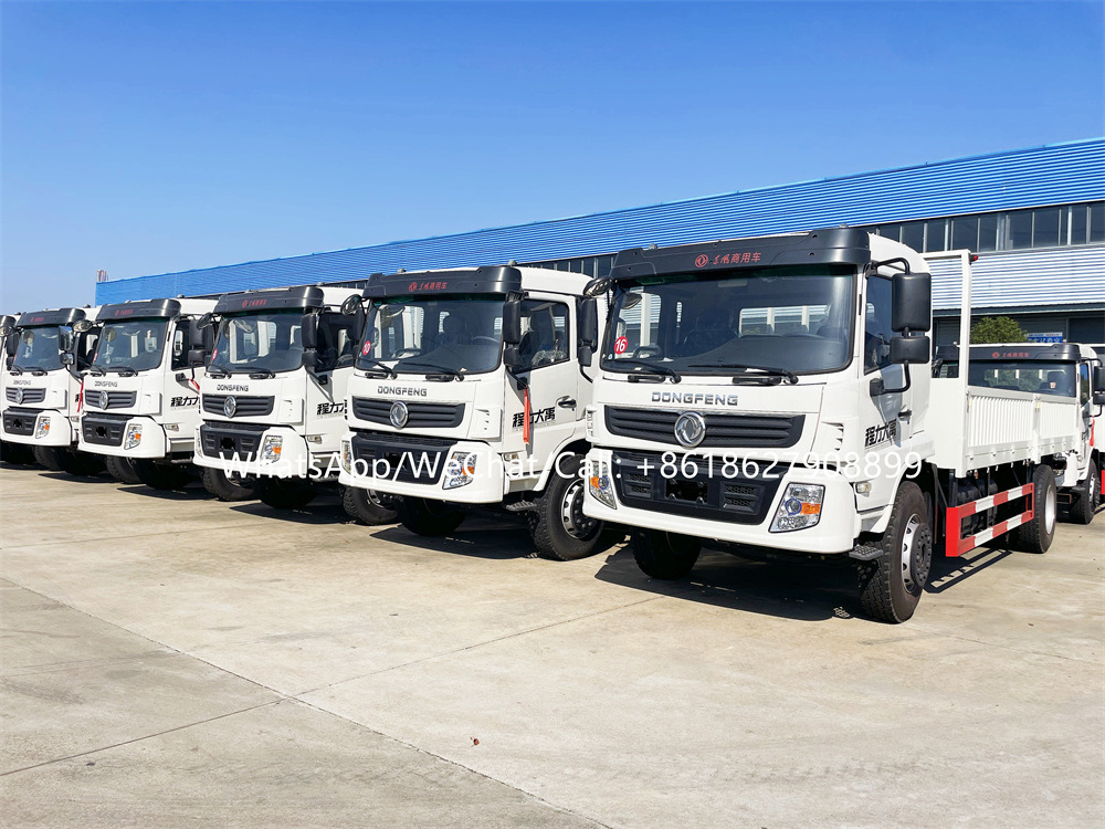 15TONS 4*2,4*4 RHD or LHD DongFeng Dump Truck, Cargo Truck with Chassis of SINOTRUK HOWO, DONGFENG, FOTON, FAW, ISUZU...