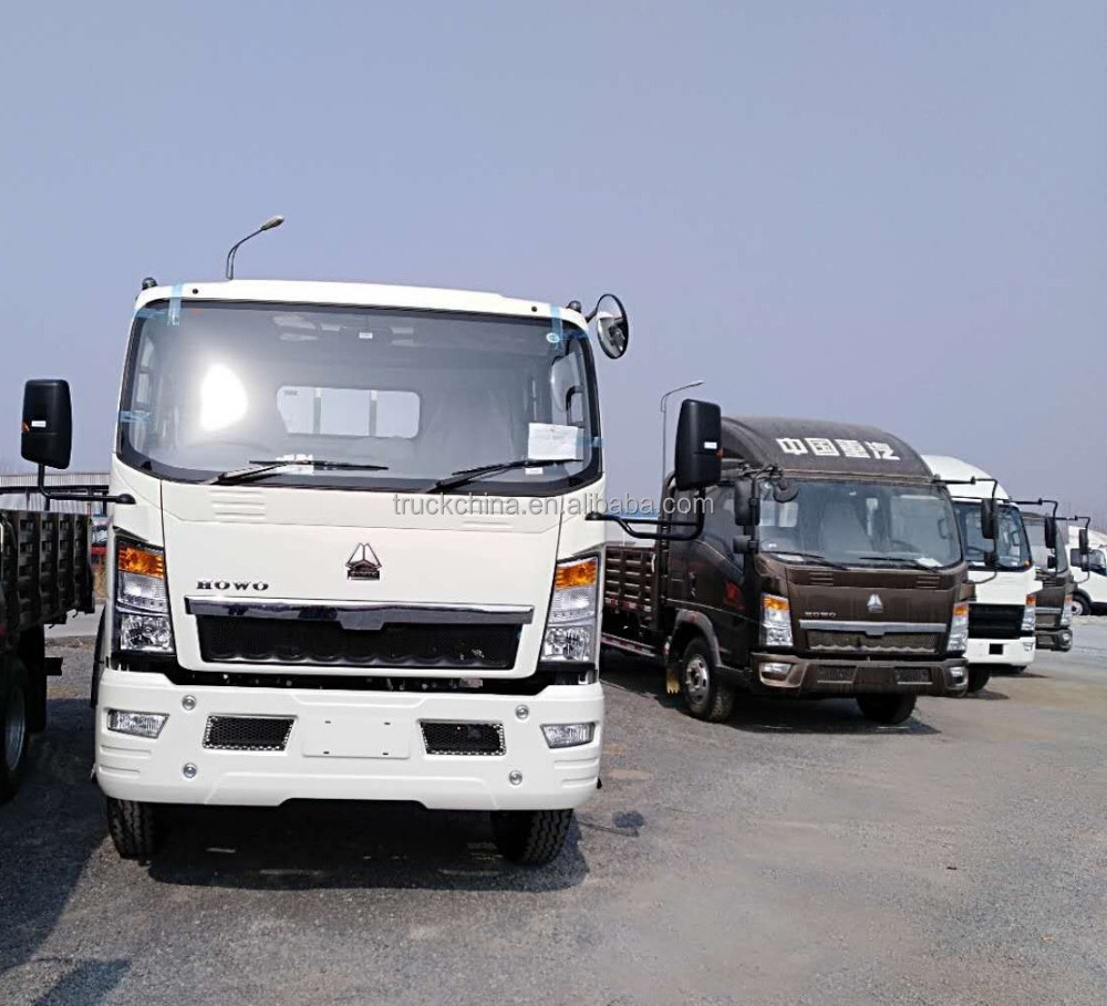 Sinotruk Howo Small Cargo Truck 4x2 2 ton Lorry Truck for sale