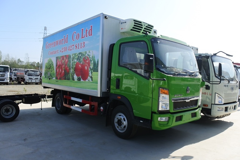 BEST Quality 3 tons 5 tonne SINOTRUK light duty HOWO refrigerated truck 4x2 Frozen food FRP refrigerated truck