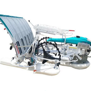 2020 Agirucltural Similar Walk Behind 4 Rows Paddy Planting Machine Walking Manual Rice Transplanter