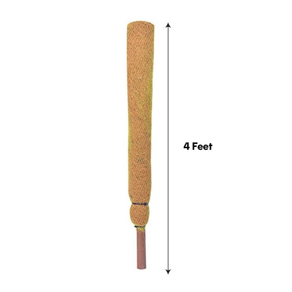 Ecofriendly Plant Climbing 4 Feet Coir Poles for Indoor Natural Plant Growth Purposes at Best Prices from US