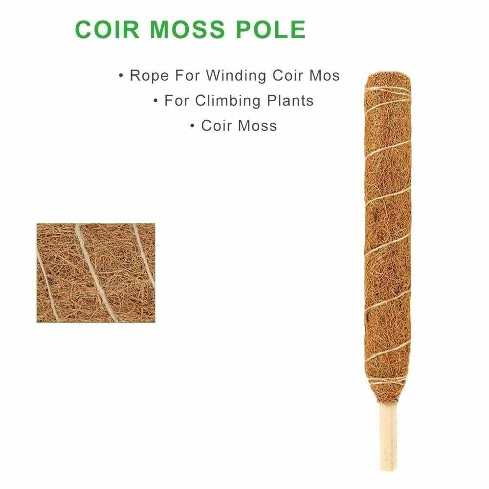 Ecofriendly Plant Climbing 4 Feet Coir Poles for Indoor Natural Plant Growth Purposes at Best Prices from US