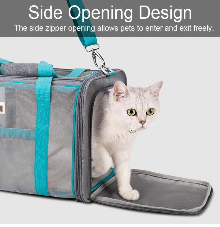 Truelove wholesale designer polyester pet carrier shoulder bag portable breathable mash convenient puppy cat carrier