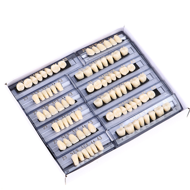 High Quality Hard Denture Resin Teeth Artificial Multi Layer Synthetic Acrylic Resin Teeth