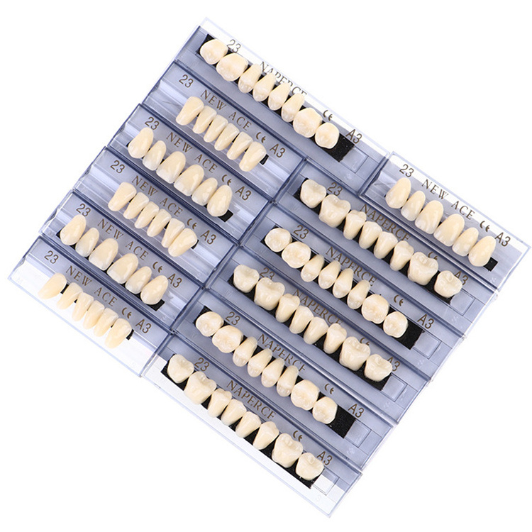 High Quality Hard Denture Resin Teeth Artificial Multi Layer Synthetic Acrylic Resin Teeth