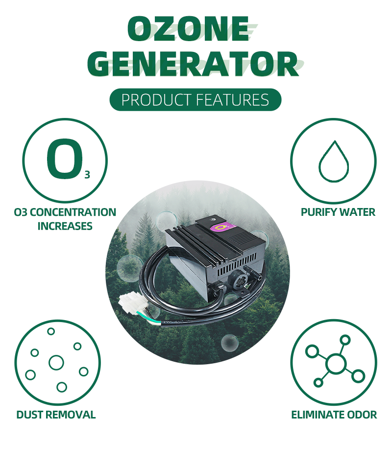 ISO9001 factory supply  generador de ozono mini water o3 ozone generators for swimming pool spa shower lake