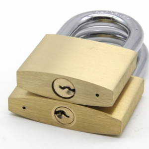 TRUMY 20MM Custom High Safety Keyed Alike Small Mini Cheap Copper Brass Padlock