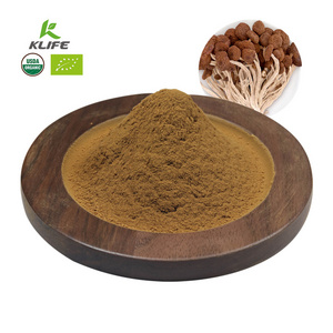 Natural Tea Tree Mushroom Extract Organic Agrocybe Aegerita Chaxingu Extract