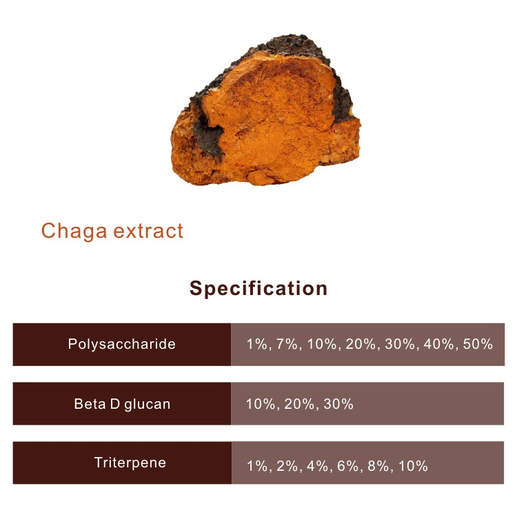 Chaga mushroom extract powder 20% Beta glucan