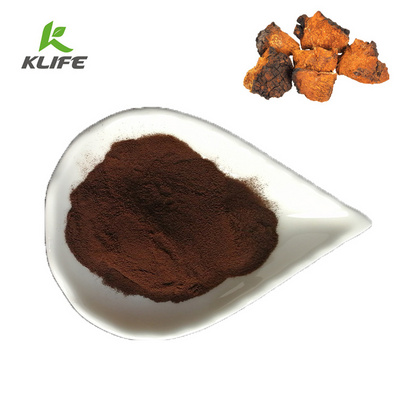 Chaga mushroom extract powder 20% Beta glucan