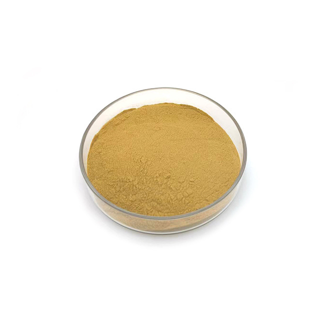 Factory High Quality Lowest Price Rose Hip Powder Bulk Rose Hip Extract Powder