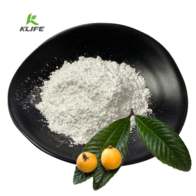 Most Popular Natural Loquat Leaf Extract 95% 98% Ursolic Acid