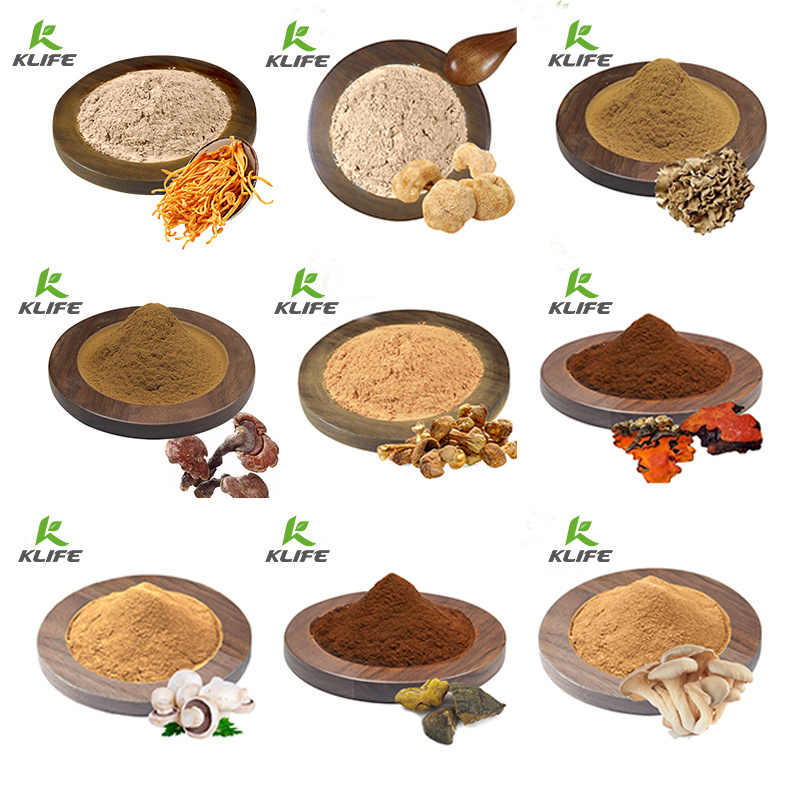 Wholesale Bulk Organic Copyinds Comatus Oyster Mushroom Extract Powder