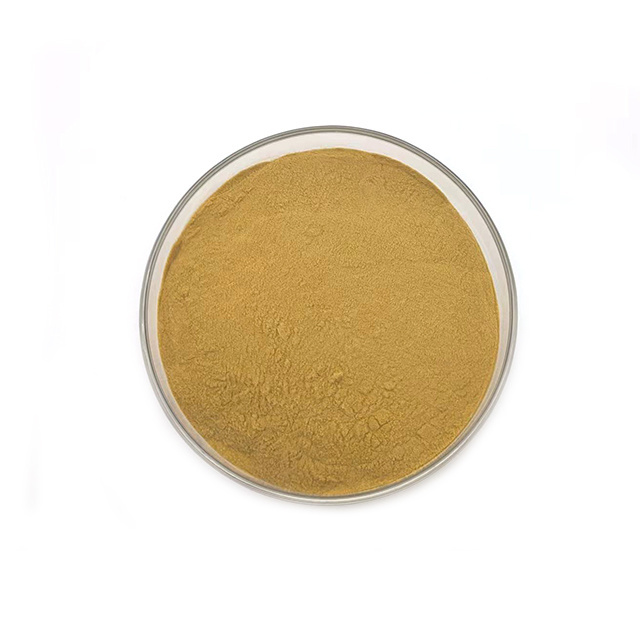 Factory High Quality Lowest Price Rose Hip Powder Bulk Rose Hip Extract Powder