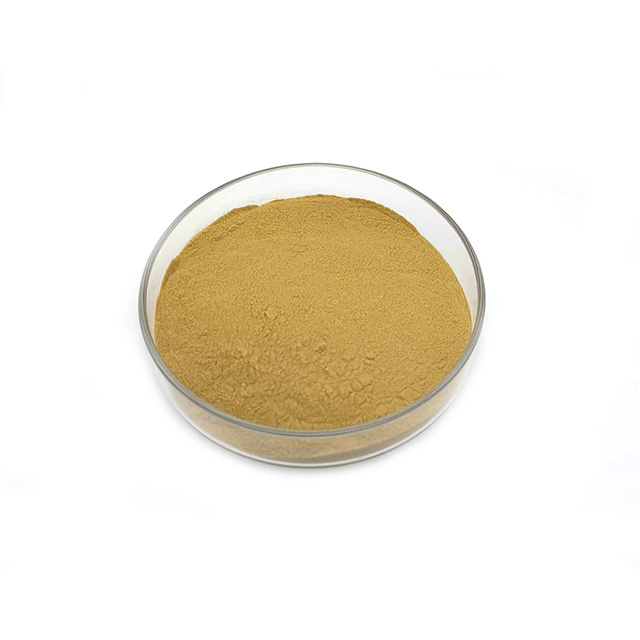 Factory High Quality Lowest Price Rose Hip Powder Bulk Rose Hip Extract Powder